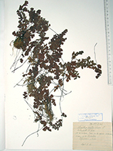 Pulsa para ver el original